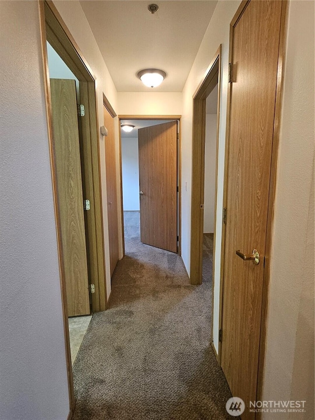 220 Antles Ave Unit 108, Wenatchee, WA 98801 - photo 7
