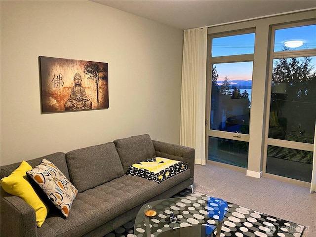 9312 45th Ave SW, Seattle, WA 98136 - photo 17