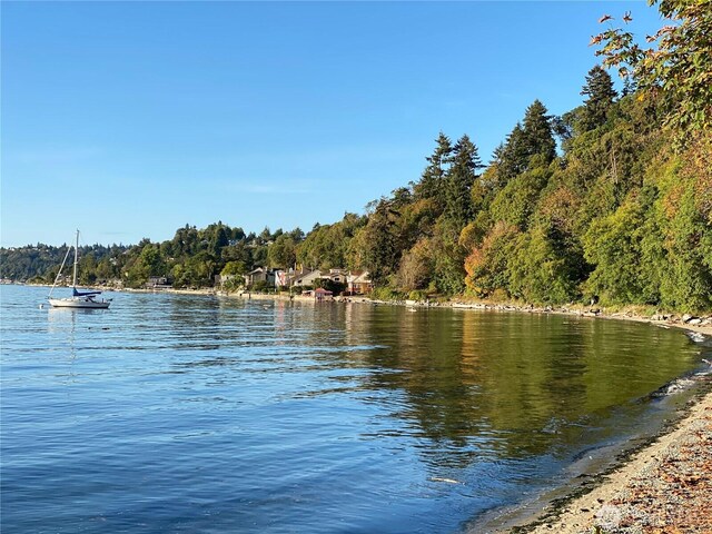 9312 45th Ave SW, Seattle, WA 98136 - photo 22