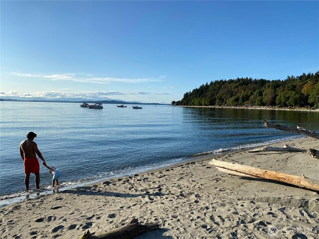 9312 45th Ave SW, Seattle, WA 98136 - photo 23