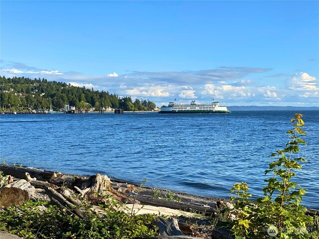 9312 45th Ave SW, Seattle, WA 98136 - photo 24
