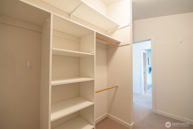 424 26th Ave S, Seattle, WA 98144 - photo 15