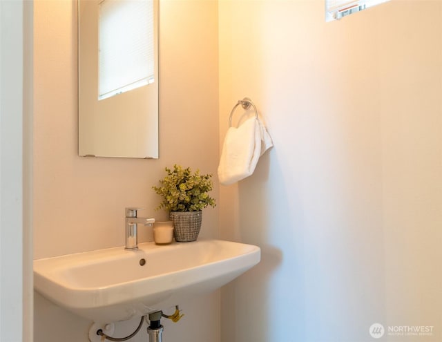 424 26th Ave S, Seattle, WA 98144 - photo 10