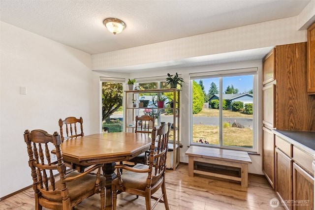 2807 Kirkaldy Ct SE, Olympia, WA 98501 - photo 3