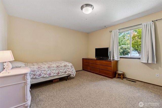 2807 Kirkaldy Ct SE, Olympia, WA 98501 - photo 10