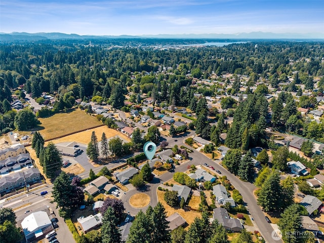 2807 Kirkaldy Ct SE, Olympia, WA 98501 - photo 20