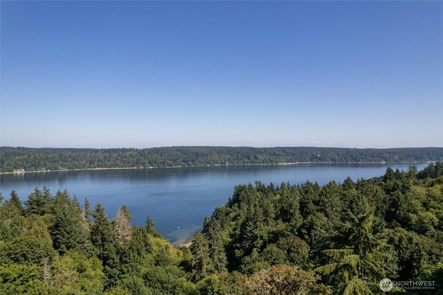 12747 SE Fetters Ln, Olalla, WA 98359 - photo 30