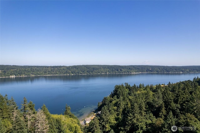 12747 SE Fetters Ln, Olalla, WA 98359 - photo 31