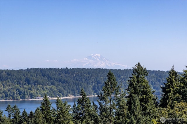 12747 SE Fetters Ln, Olalla, WA 98359 - photo 32
