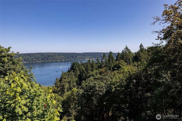 12747 SE Fetters Ln, Olalla, WA 98359 - photo 33