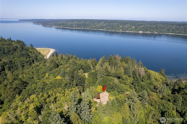 12747 SE Fetters Ln, Olalla, WA 98359 - photo 36
