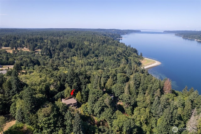 12747 SE Fetters Ln, Olalla, WA 98359 - photo 37
