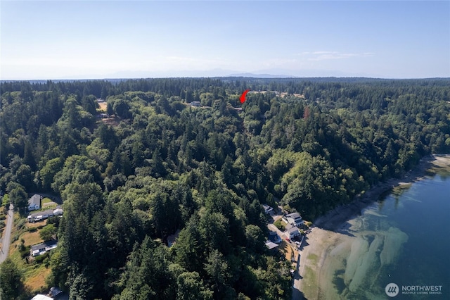 12747 SE Fetters Ln, Olalla, WA 98359 - photo 38