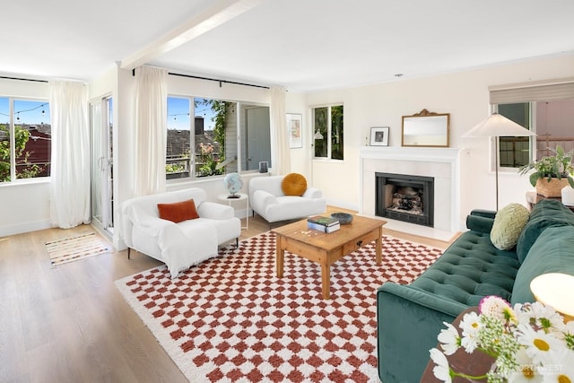 1964 26th Ave W Unit 101, Seattle, WA 98199 - photo 5