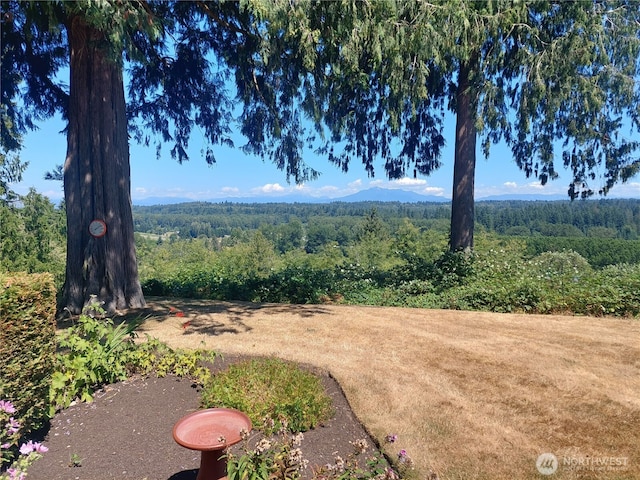 6121 Northridge, Snohomish, WA 98290 - photo 33