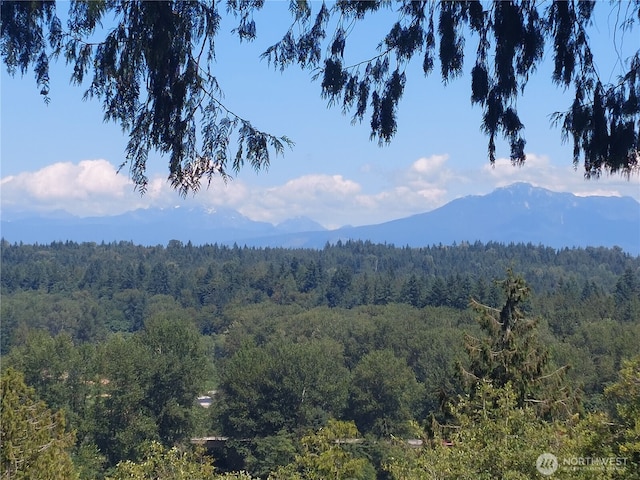 6121 Northridge, Snohomish, WA 98290 - photo 39