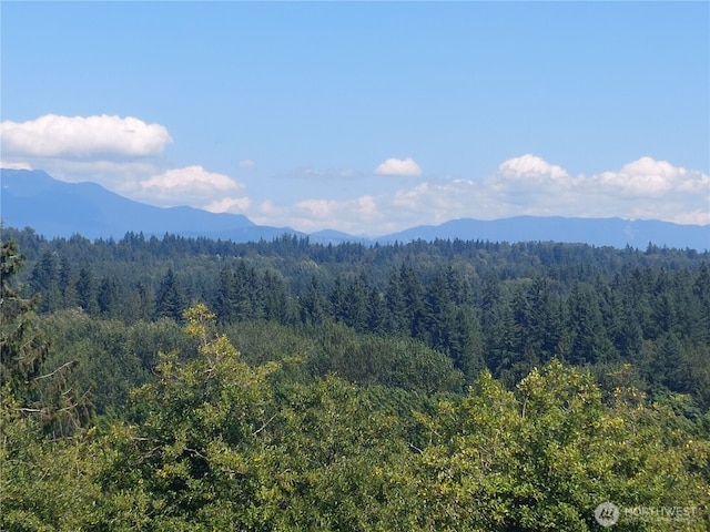 6121 Northridge, Snohomish, WA 98290 - photo 40