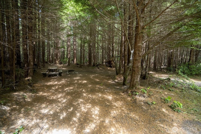 20860 Hoko-Ozette Rd, Clallam Bay, WA 98326 - photo 15