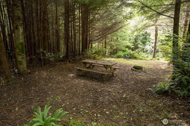 20860 Hoko-Ozette Rd, Clallam Bay, WA 98326 - photo 17