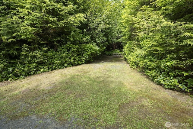 20860 Hoko-Ozette Rd, Clallam Bay, WA 98326 - photo 19