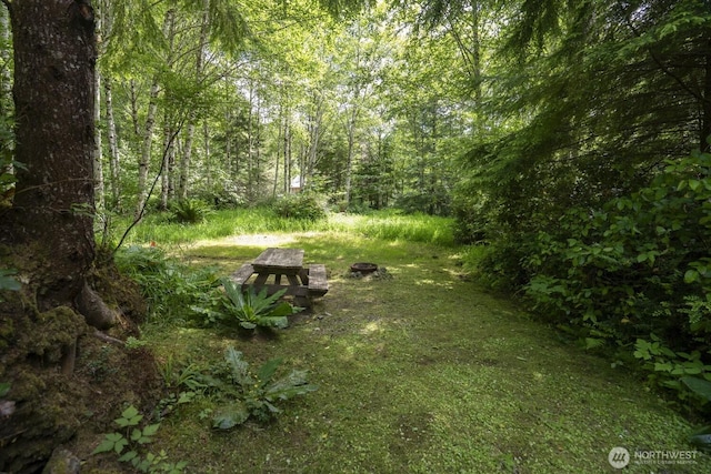 20860 Hoko-Ozette Rd, Clallam Bay, WA 98326 - photo 21
