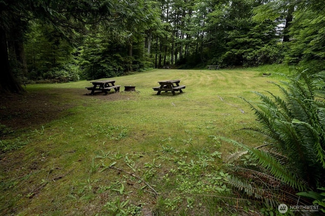 20860 Hoko-Ozette Rd, Clallam Bay, WA 98326 - photo 24