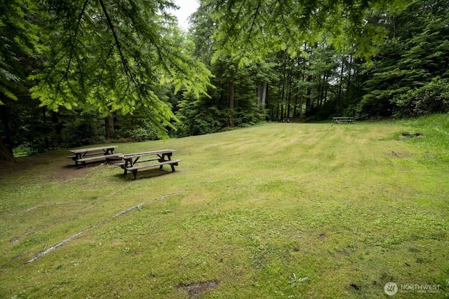 20860 Hoko-Ozette Rd, Clallam Bay, WA 98326 - photo 25