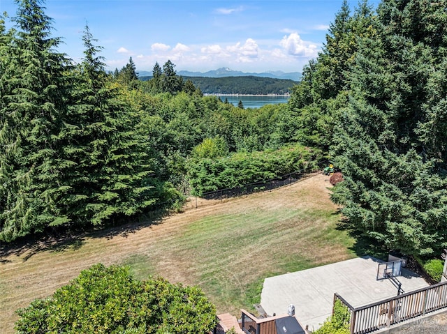 111 E Olympic Palisades Dr, Belfair, WA 98528 - photo 35