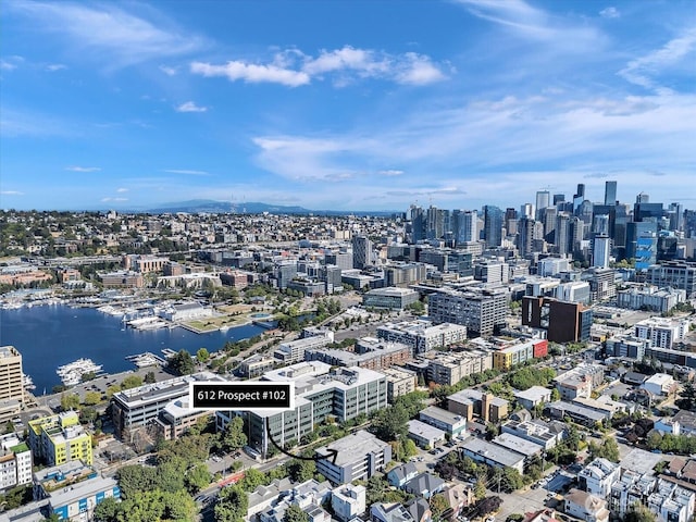 612 Prospect St Unit 102, Seattle, WA 98109 - photo 21