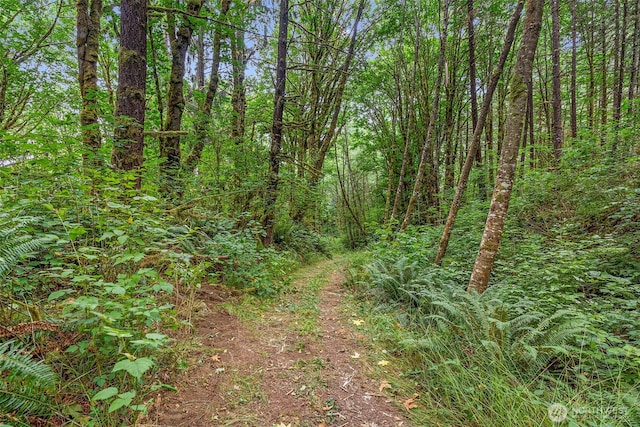 1142 State Route 6, Raymond, WA 98577 - photo 35