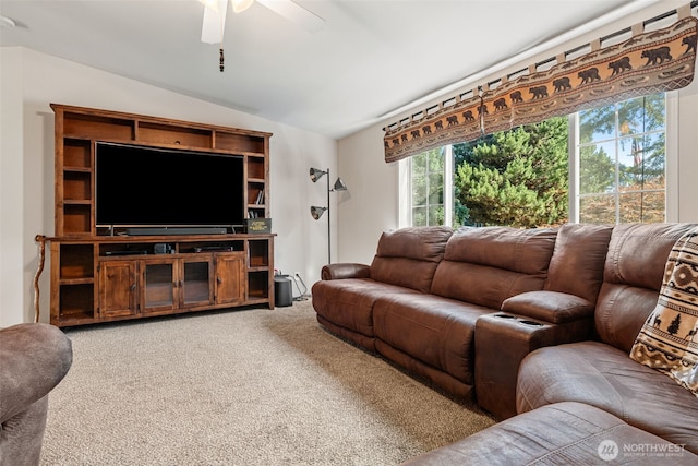 118 Quary Ln, Winlock, WA 98596 - photo 6
