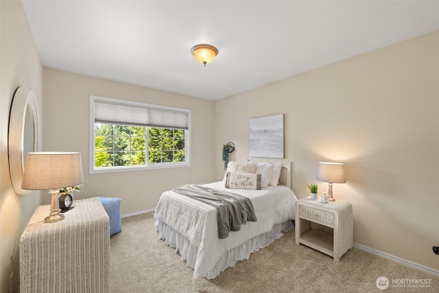 10921 127th Ave NE, Lake Stevens, WA 98258 - photo 19