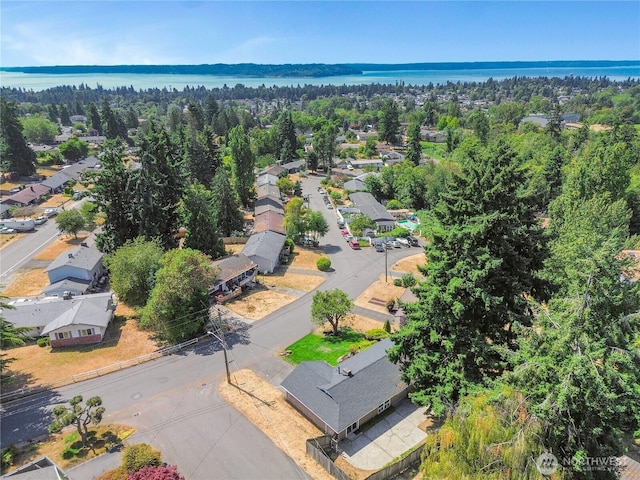 2404 S 249th Pl, Kent, WA 98032 - photo 20