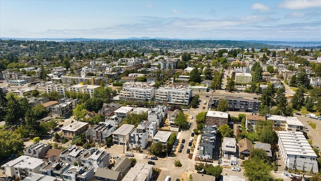 972 N Allen Pl, Seattle, WA 98103 - photo 33