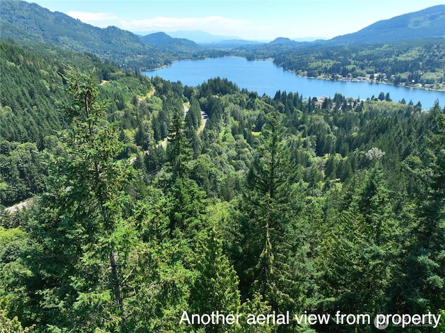 1060 Finney Creek Ln, Bellingham, WA 98229 - photo 2