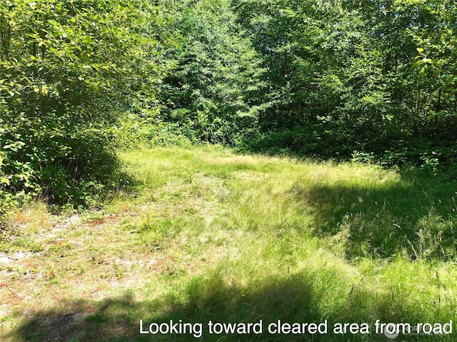 1060 Finney Creek Ln, Bellingham, WA 98229 - photo 3