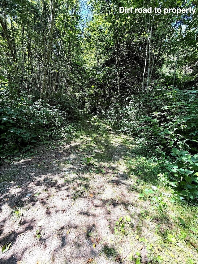 1060 Finney Creek Ln, Bellingham, WA 98229 - photo 7