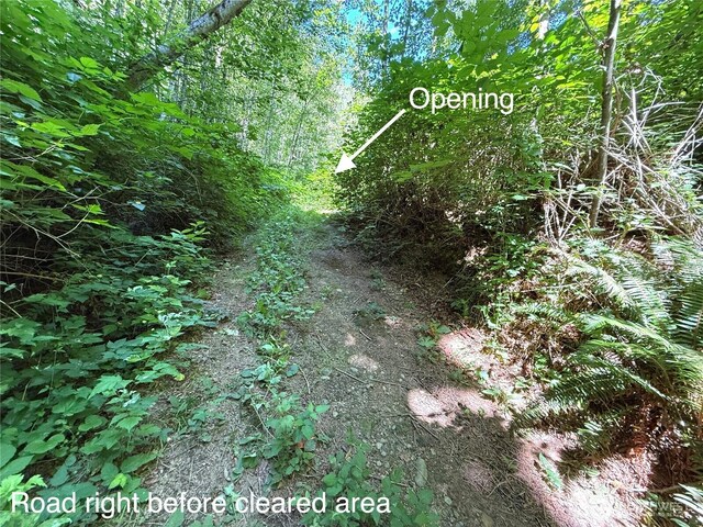 1060 Finney Creek Ln, Bellingham, WA 98229 - photo 8