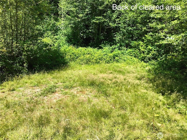 1060 Finney Creek Ln, Bellingham, WA 98229 - photo 11
