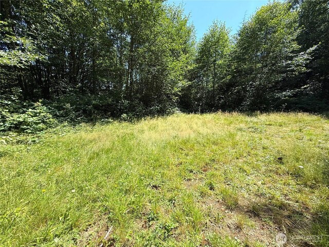 1060 Finney Creek Ln, Bellingham, WA 98229 - photo 12
