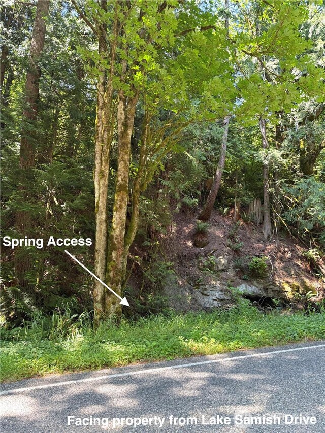 1060 Finney Creek Ln, Bellingham, WA 98229 - photo 13