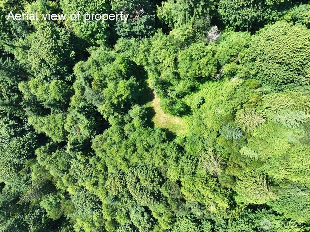 1060 Finney Creek Ln, Bellingham, WA 98229 - photo 14