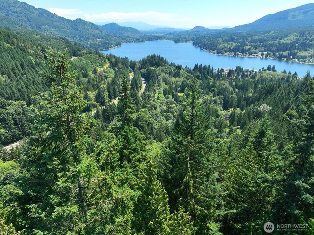 1060 Finney Creek Ln, Bellingham, WA 98229 - photo 19