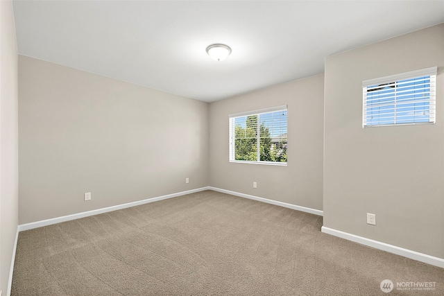 3319 Aurora St NE, Lacey, WA 98516 - photo 19