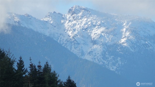 382X1 Lost Mountain Rd, Sequim, WA 98382 - photo 30