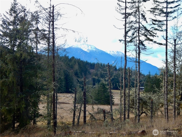 382X1 Lost Mountain Rd, Sequim, WA 98382 - photo 9