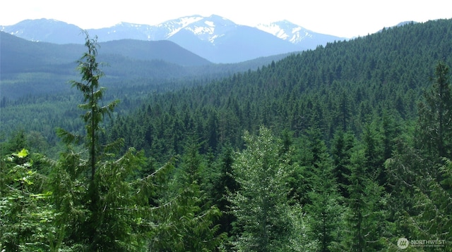 382X1 Lost Mountain Rd, Sequim, WA 98382 - photo 10