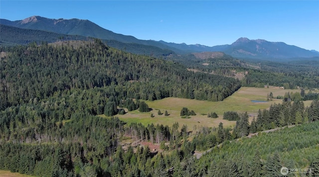 382X1 Lost Mountain Rd, Sequim, WA 98382 - photo 12