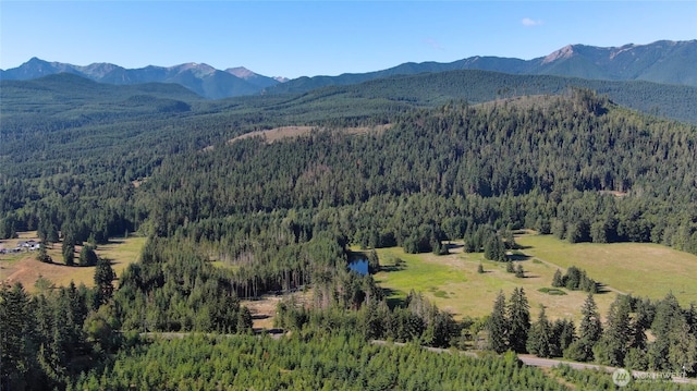 382X1 Lost Mountain Rd, Sequim, WA 98382 - photo 13