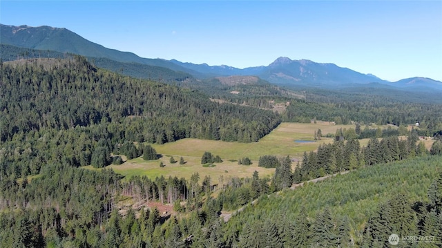 382X1 Lost Mountain Rd, Sequim, WA 98382 - photo 17